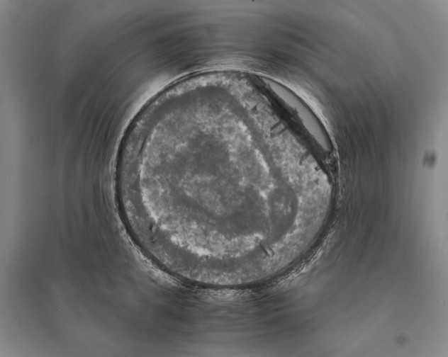 X0000095520949200801111433