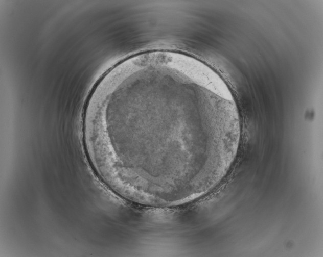 X0000095520950200801111433