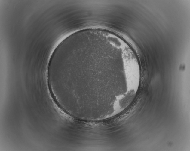 X0000095520951200801111433