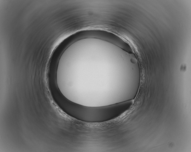 X0000095520952200801111433