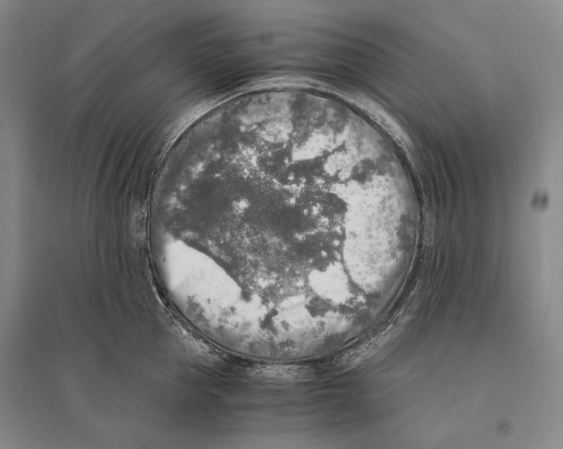 X0000095520953200801111433