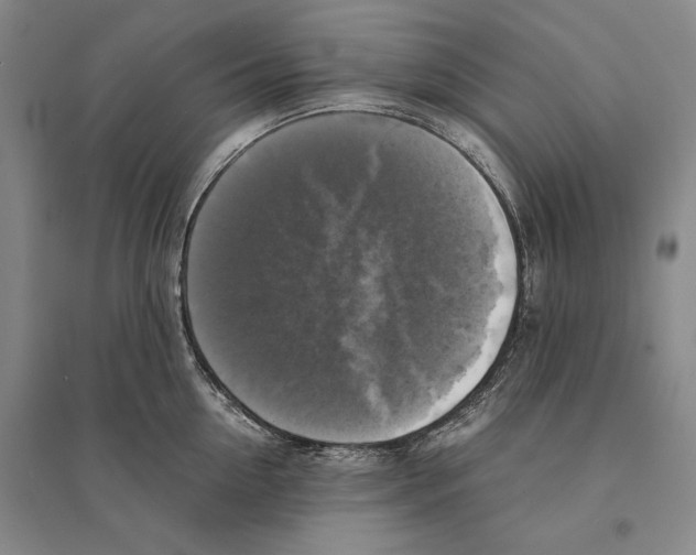 X0000095520954200801111433