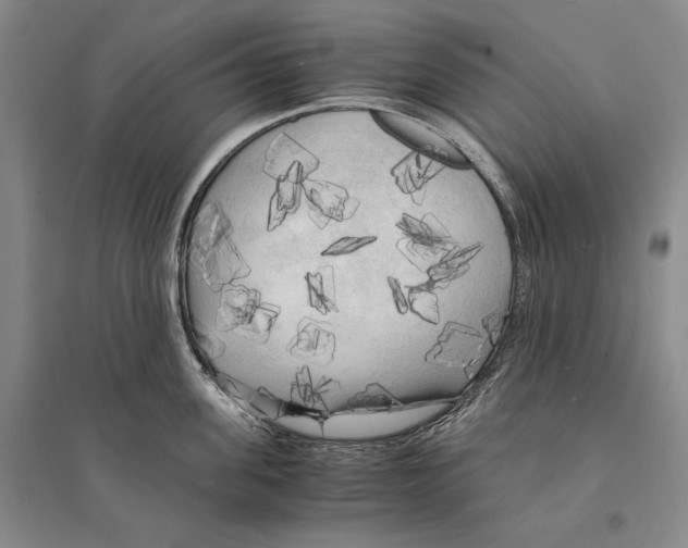 X0000095520955200801111433