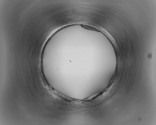 X0000095520956200801111433