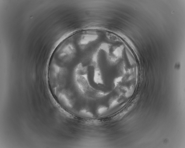 X0000095520957200801111433