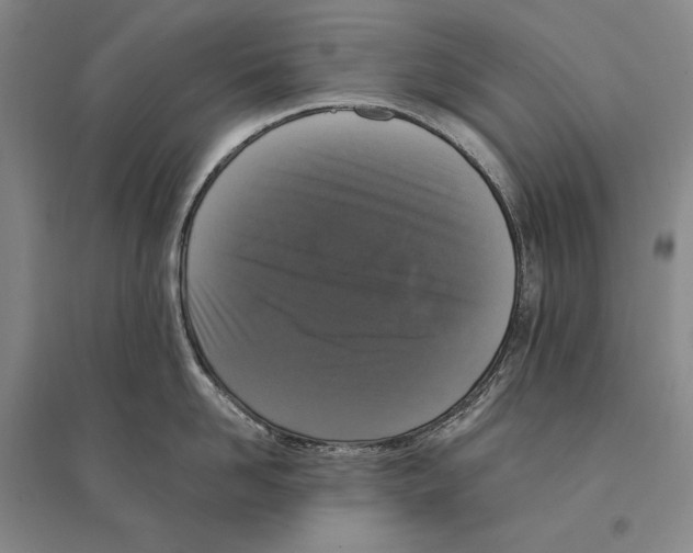 X0000095520958200801111433