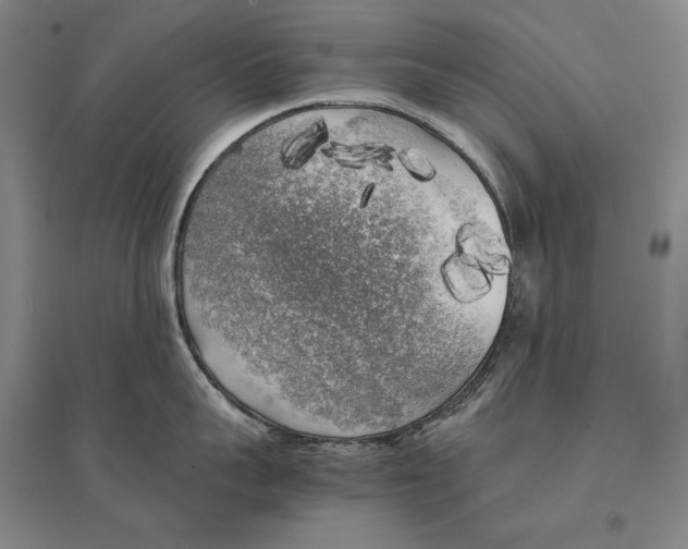 X0000095520959200801111433