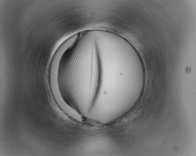 X0000095520960200801111433