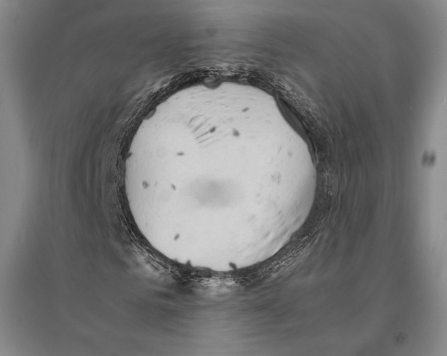 X0000095520961200801111432