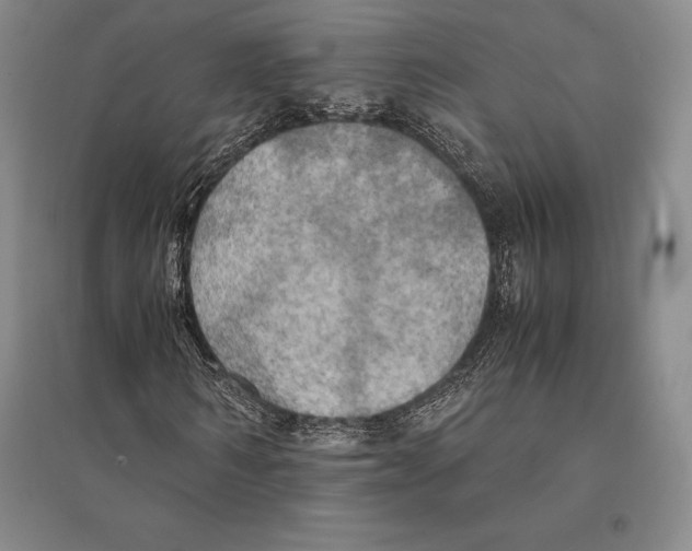 X0000095520962200801111432