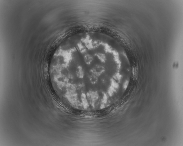 X0000095520963200801111432