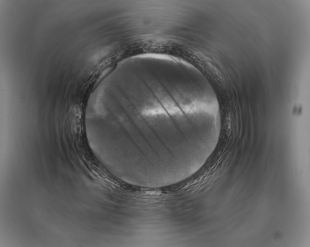 X0000095520964200801111432