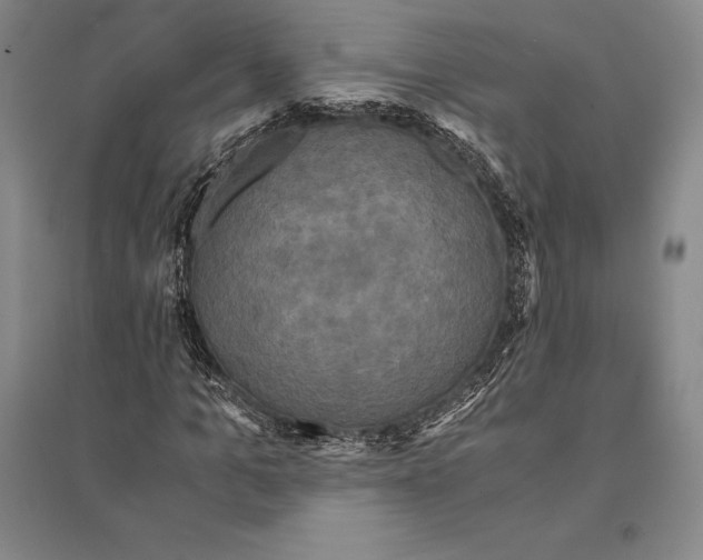 X0000095520965200801111432