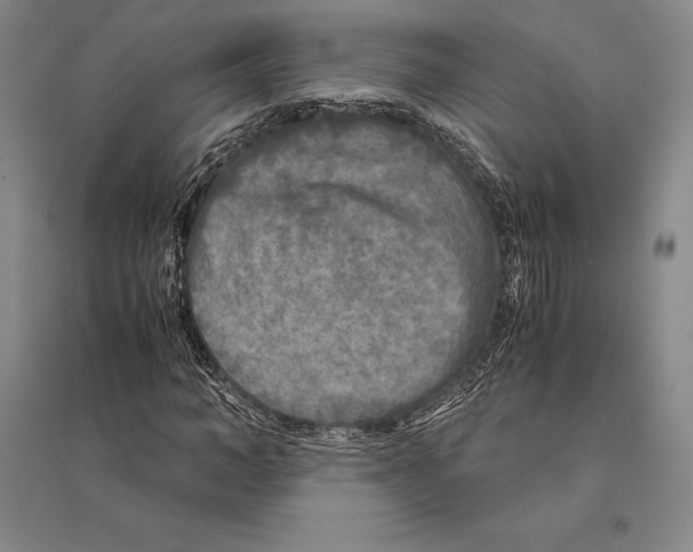 X0000095520966200801111432