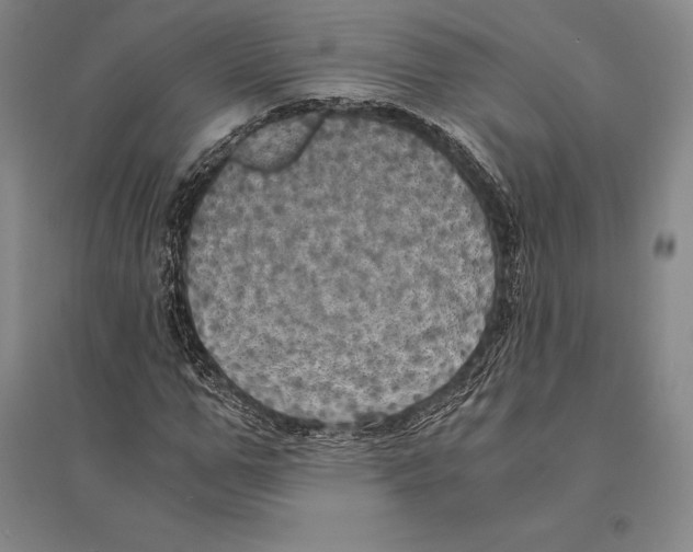 X0000095520967200801111432