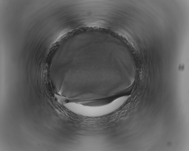 X0000095520968200801111432