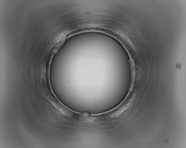 X0000095520969200801111432