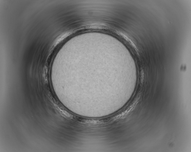 X0000095520970200801111432