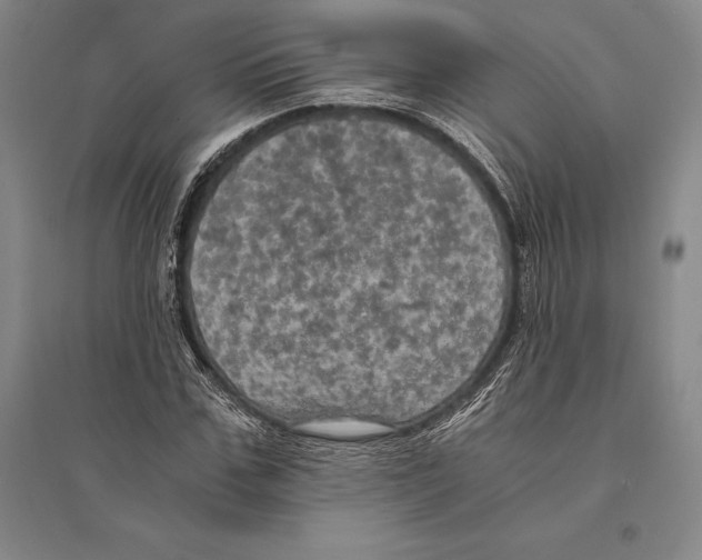 X0000095520971200801111432