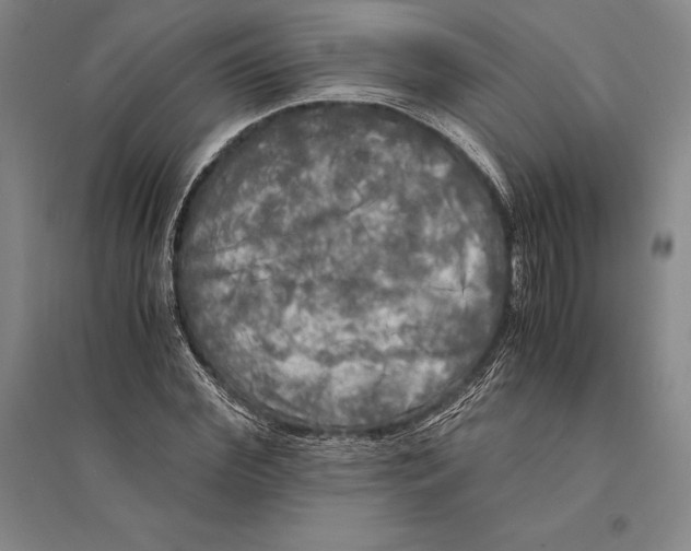 X0000095520972200801111432