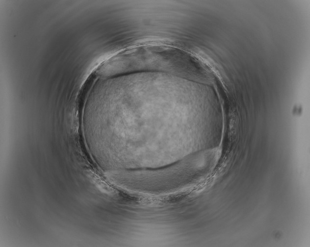 X0000095520973200801111432