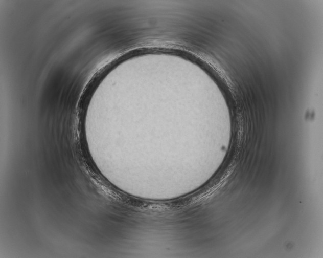 X0000095520974200801111432