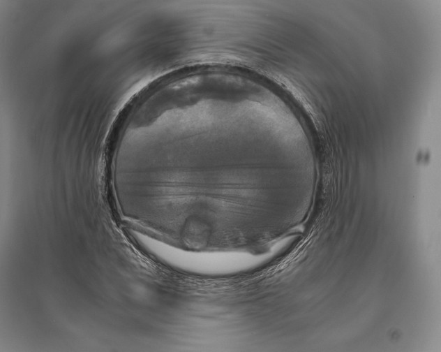 X0000095520975200801111432