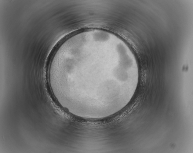 X0000095520976200801111432