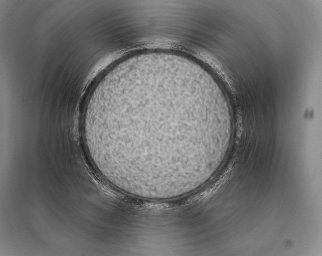 X0000095520978200801111432