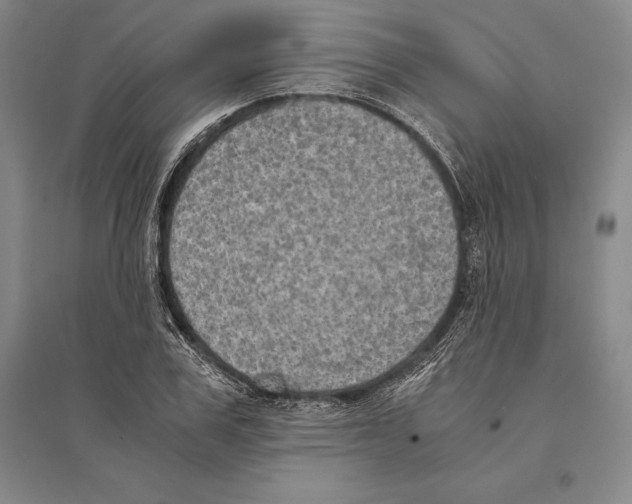 X0000095520979200801111432