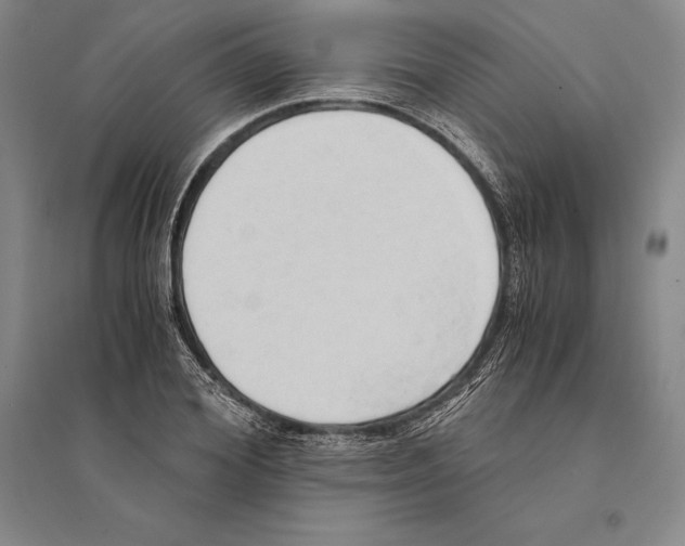 X0000095520980200801111432