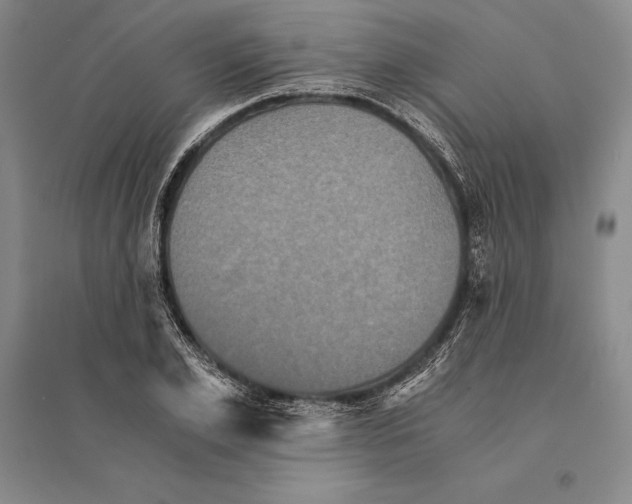 X0000095520981200801111432