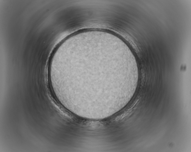 X0000095520982200801111432