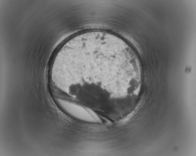 X0000095520983200801111432