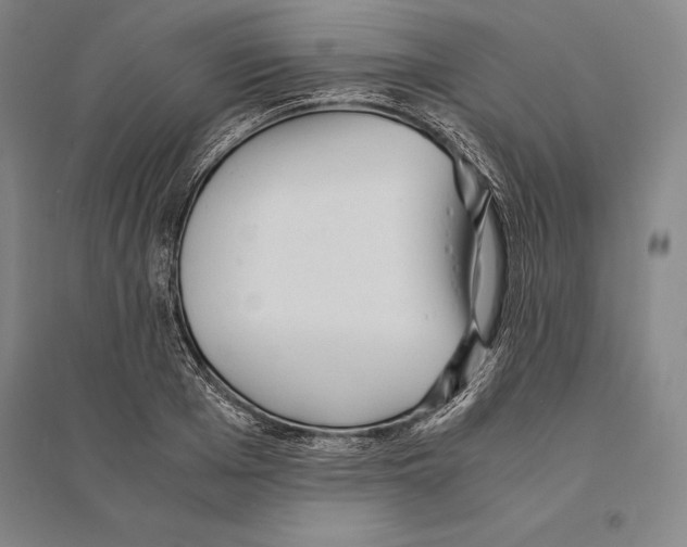 X0000095520985200801111432