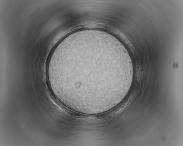 X0000095520986200801111432