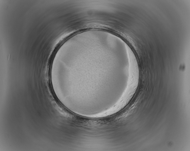 X0000095520987200801111432