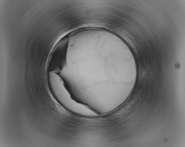 X0000095520988200801111432