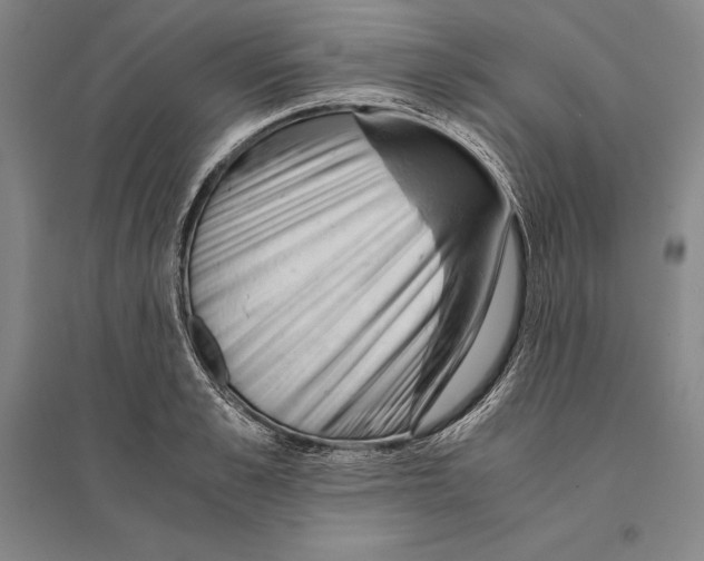 X0000095520989200801111432