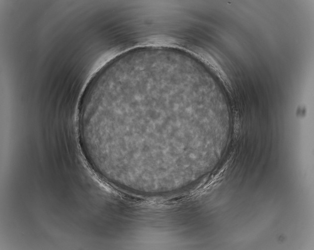 X0000095520990200801111432