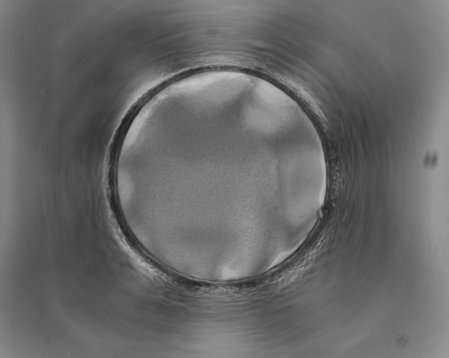 X0000095520991200801111432