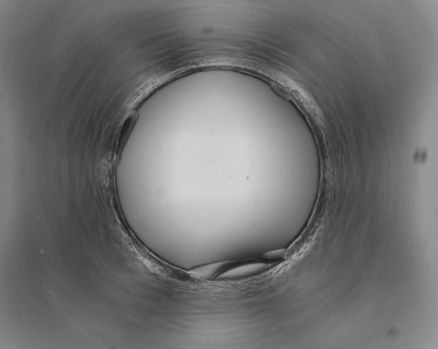 X0000095520993200801111432