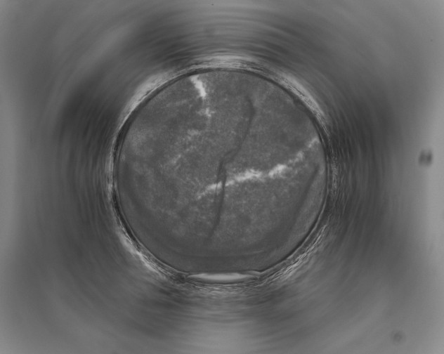 X0000095520994200801111432