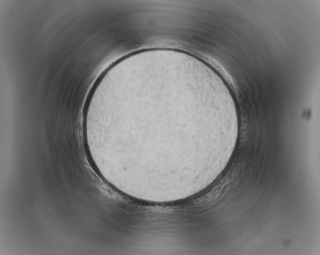 X0000095520996200801111432