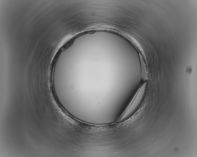 X0000095520997200801111432