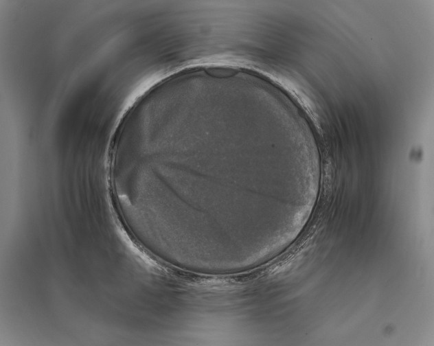 X0000095520998200801111432