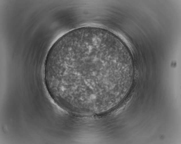 X0000095520999200801111432