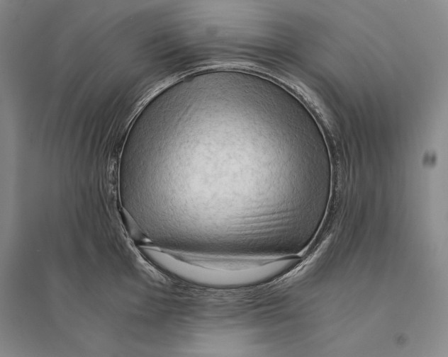 X0000095521001200801111432