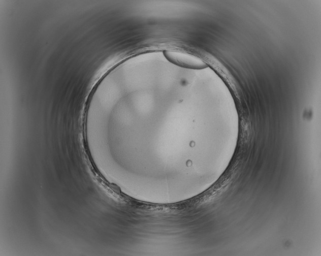 X0000095521002200801111432