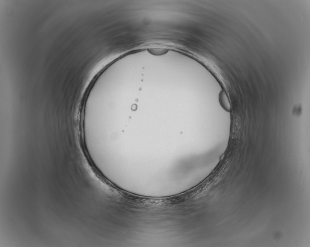 X0000095521003200801111432